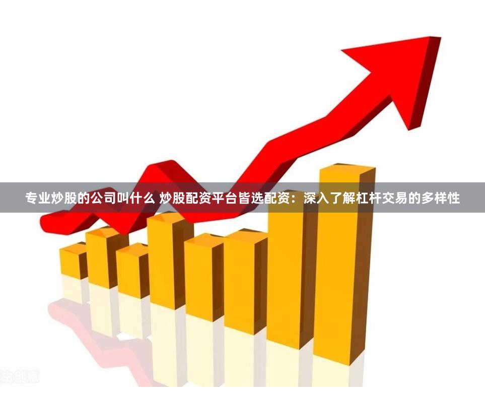 专业炒股的公司叫什么 炒股配资平台皆选配资：深入了解杠杆交易的多样性