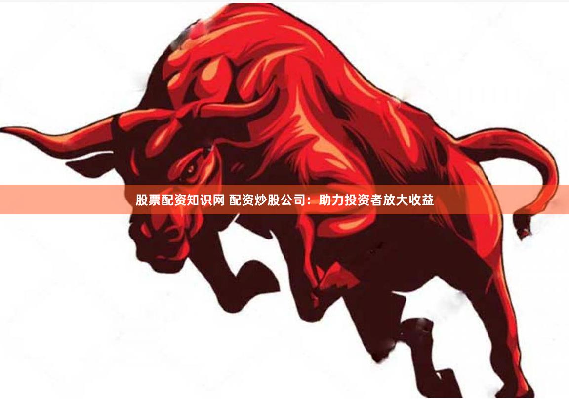 股票配资知识网 配资炒股公司：助力投资者放大收益