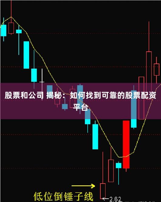股票和公司 揭秘：如何找到可靠的股票配资平台