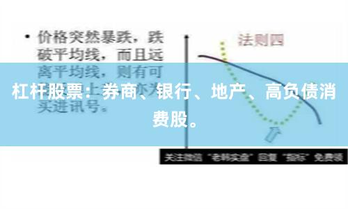 杠杆股票：券商、银行、地产、高负债消费股。