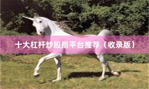 十大杠杆炒股指平台推荐（收录版）