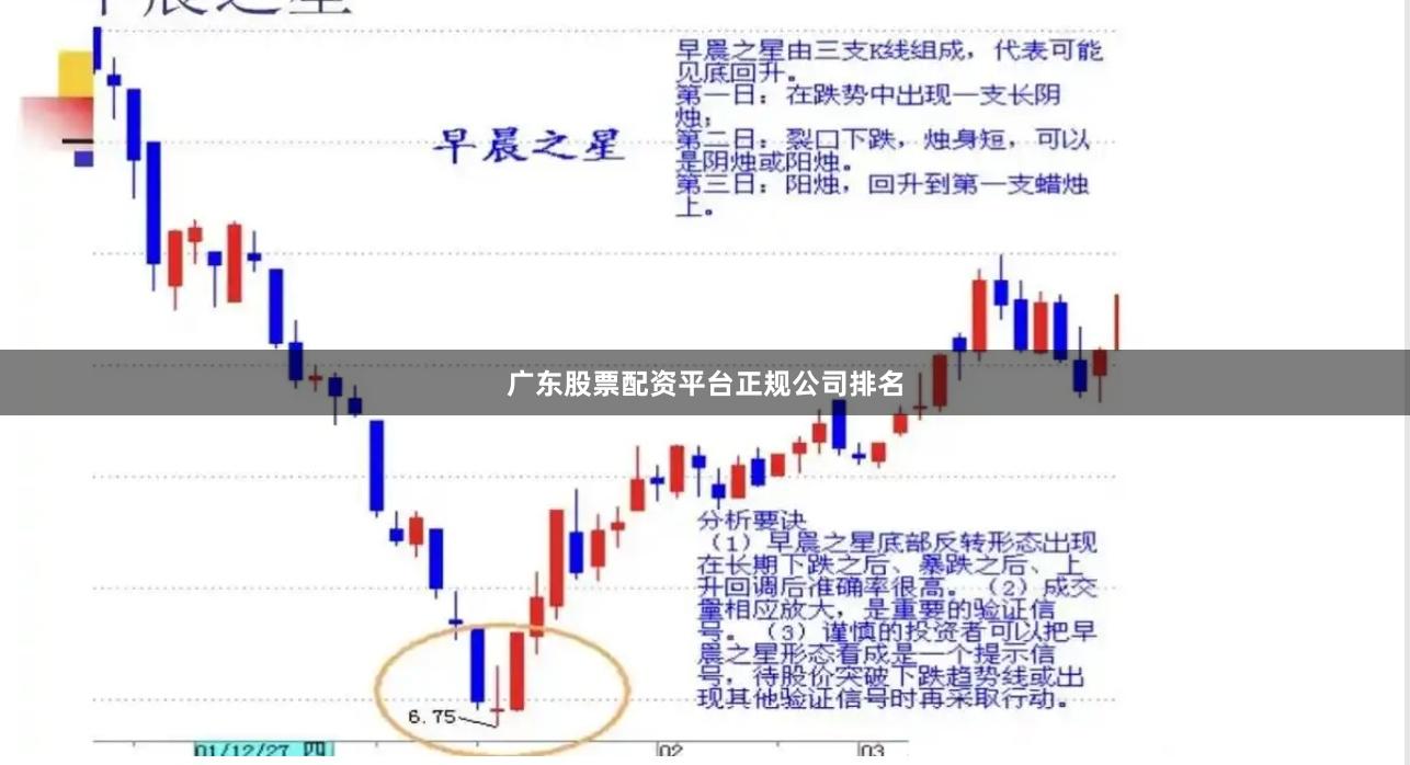 广东股票配资平台正规公司排名